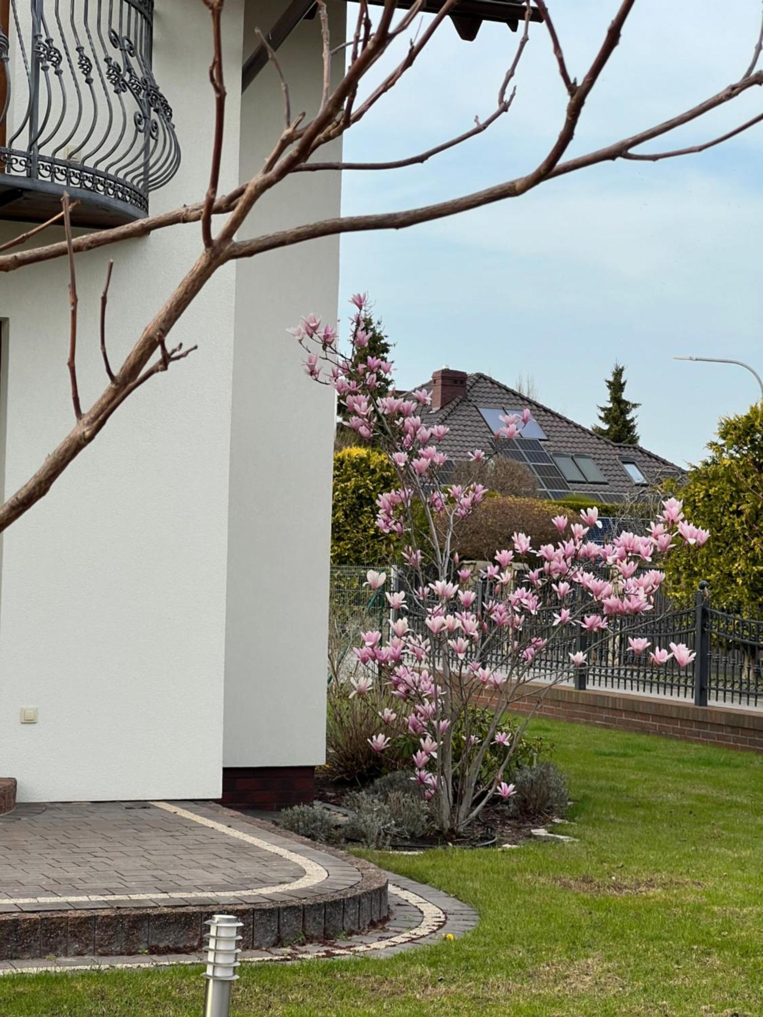 Apartamenty Bursztynowe Dębki Exterior foto
